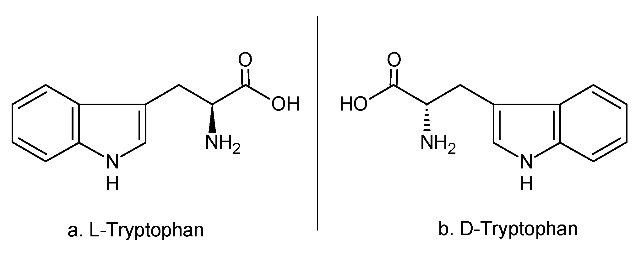 L- and D-tryptophan side-by-side. Mirror images—chemically equal, biologically divergent.